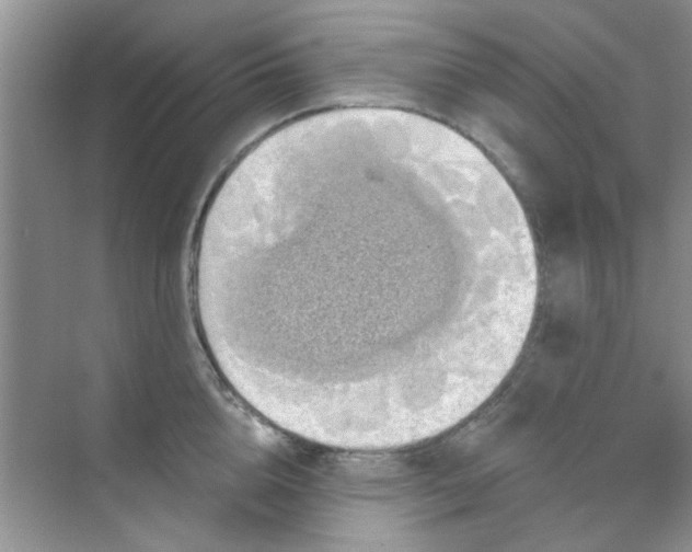 X0000070240856200606161844