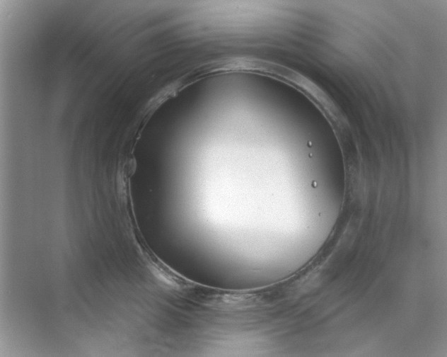 X0000070240857200606161844