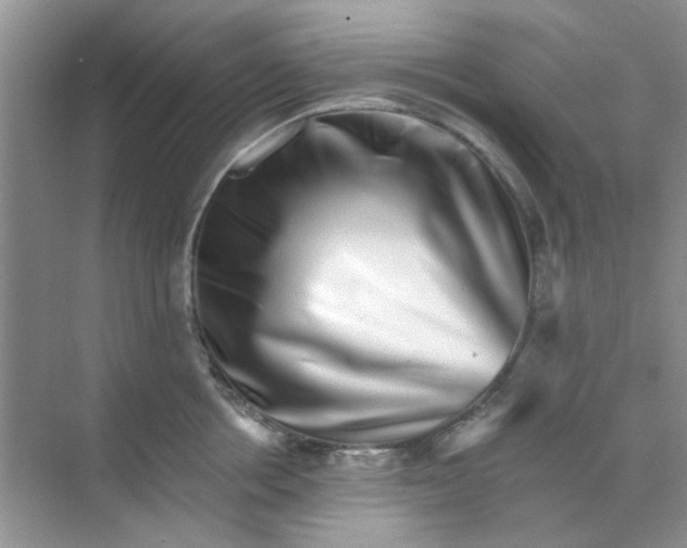 X0000070240858200606161844