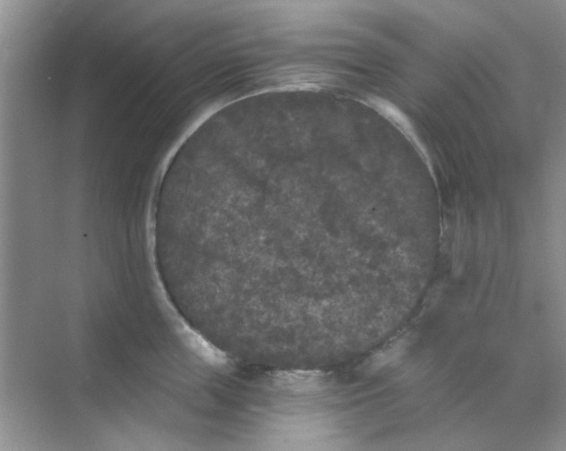 X0000070240859200606161844