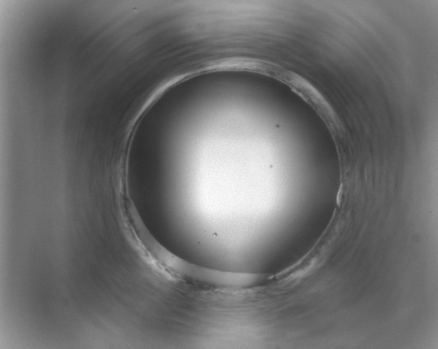 X0000070240860200606161844