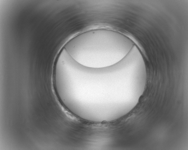 X0000070240861200606161844