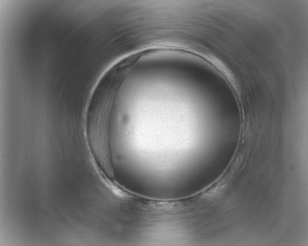 X0000070240862200606161844