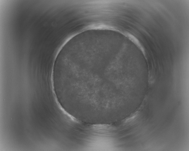 X0000070240863200606161844