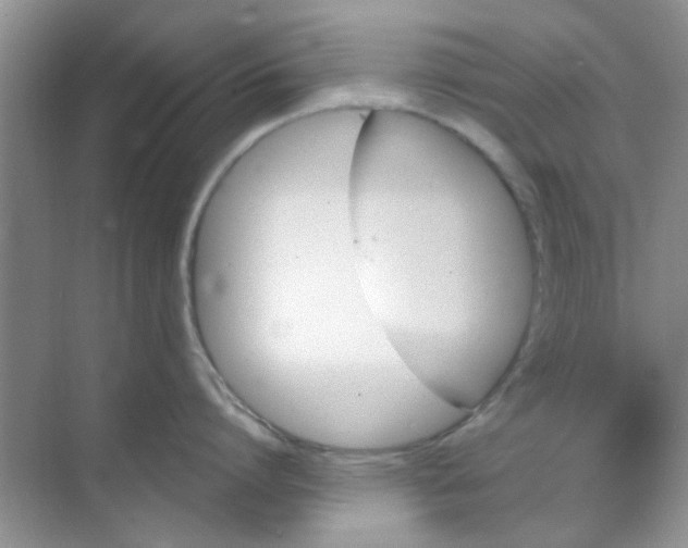 X0000070240864200606161844