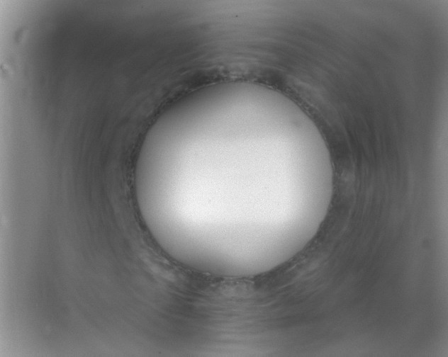 X0000070240865200606161843