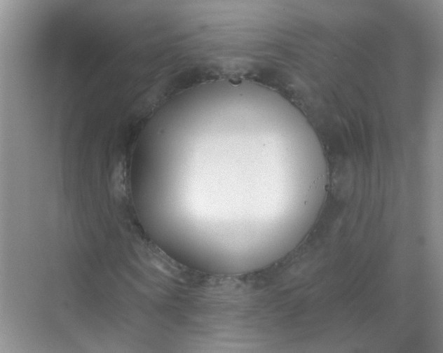 X0000070240866200606161843