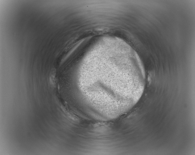 X0000070240867200606161843