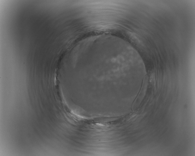 X0000070240868200606161843