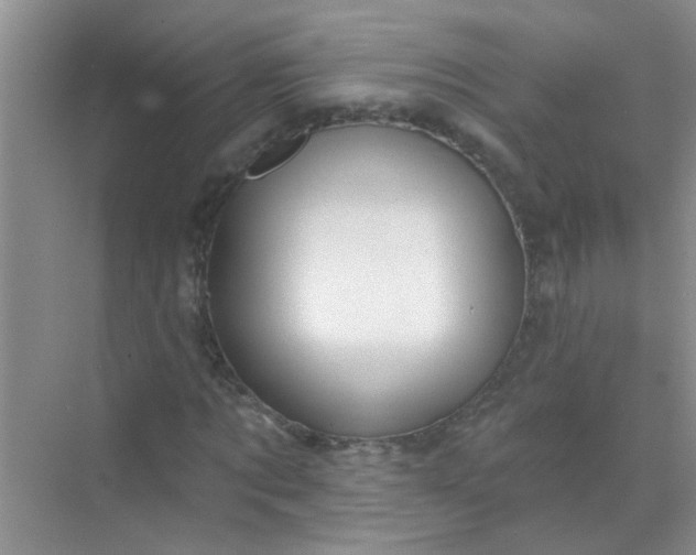 X0000070240869200606161843