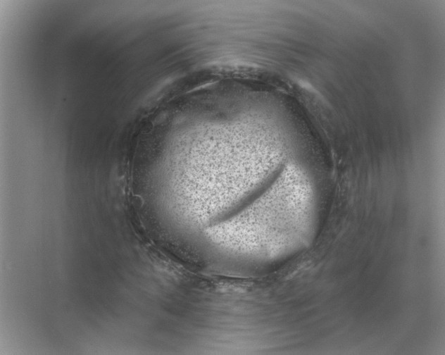 X0000070240870200606161843