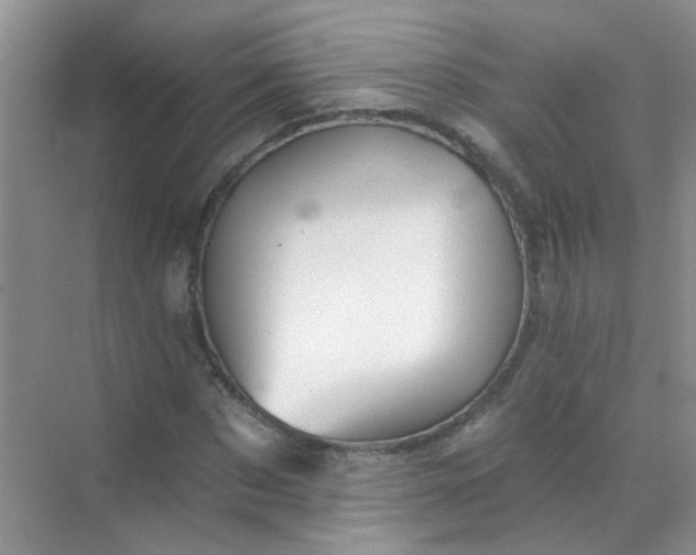 X0000070240873200606161843