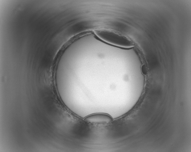 X0000070240875200606161843