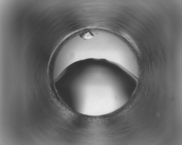 X0000070240876200606161843