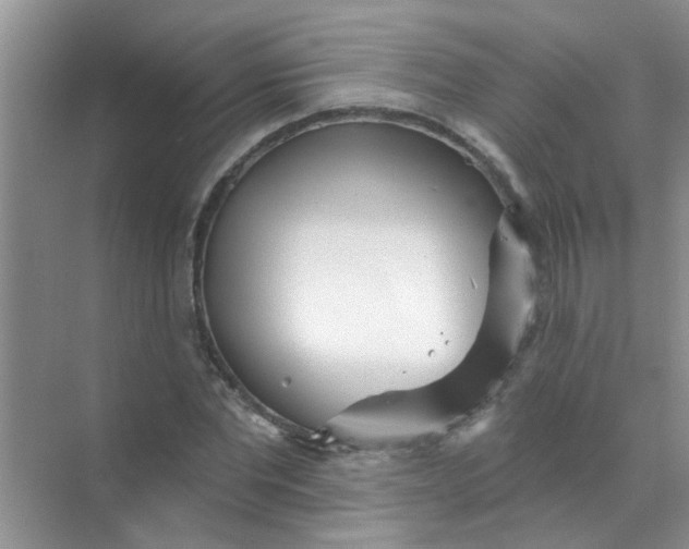 X0000070240877200606161843