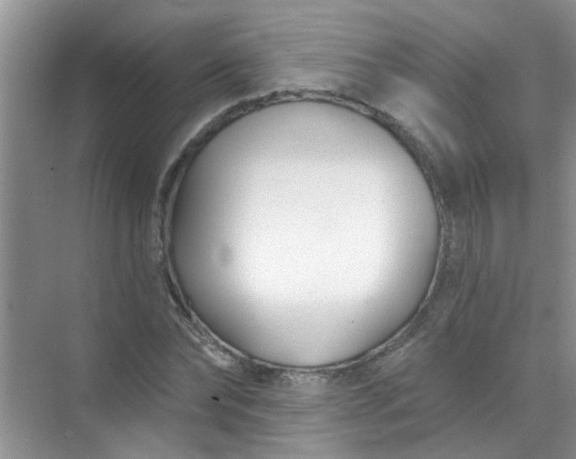 X0000070240878200606161843