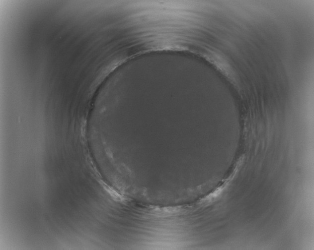 X0000070240881200606161843