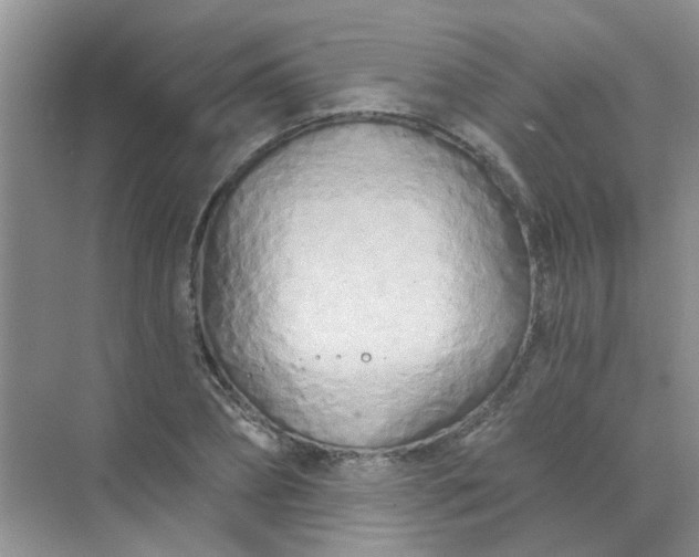 X0000070240882200606161843