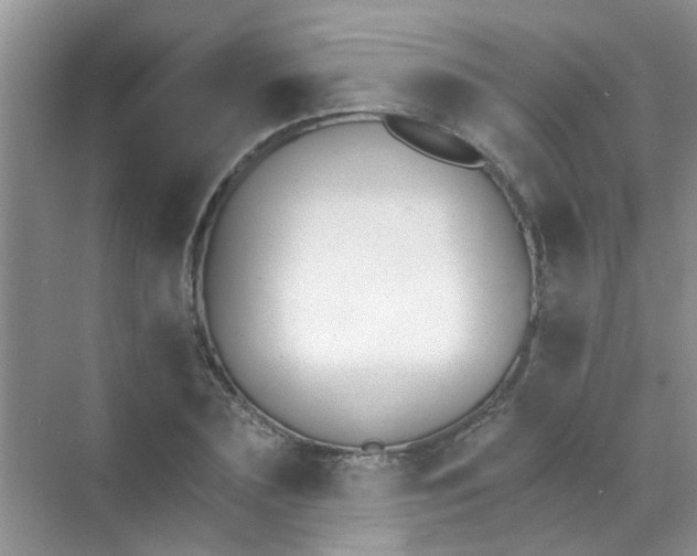 X0000070240883200606161843