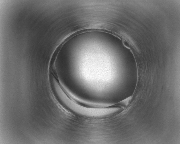 X0000070240884200606161843