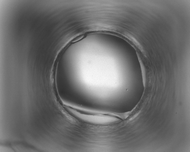 X0000070240885200606161843