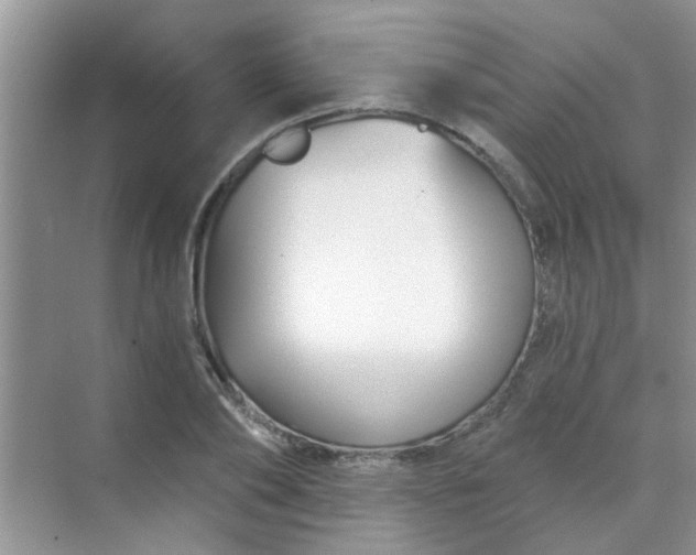 X0000070240886200606161843