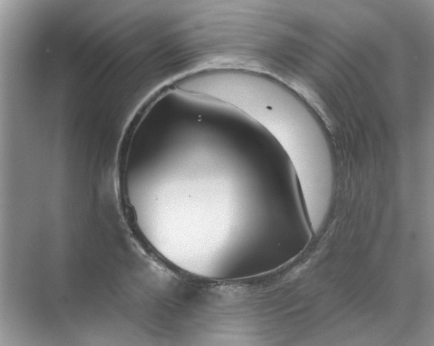 X0000070240888200606161843