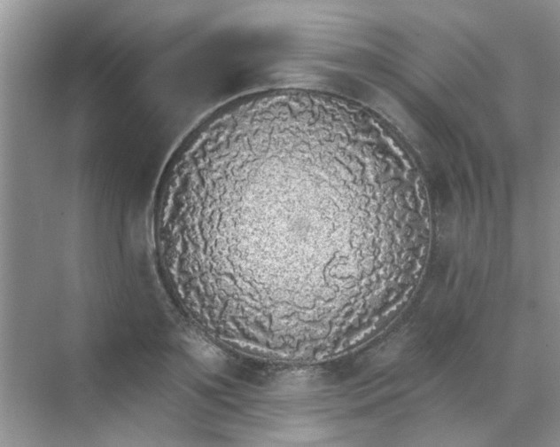 X0000070240891200606161843