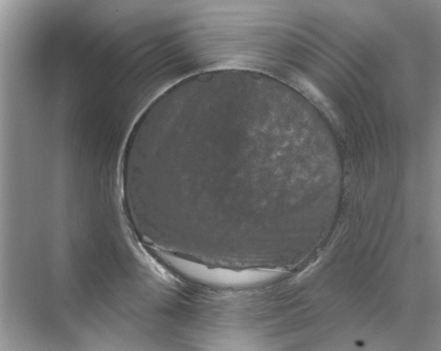 X0000070240892200606161843