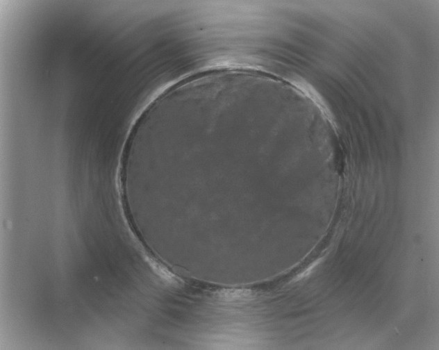 X0000070240893200606161843