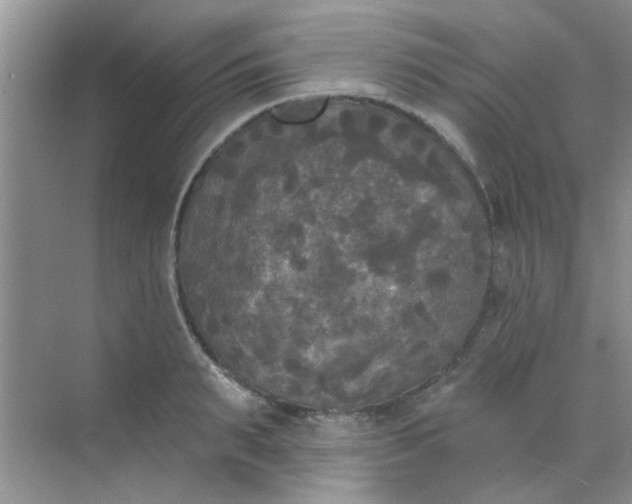 X0000070240895200606161843