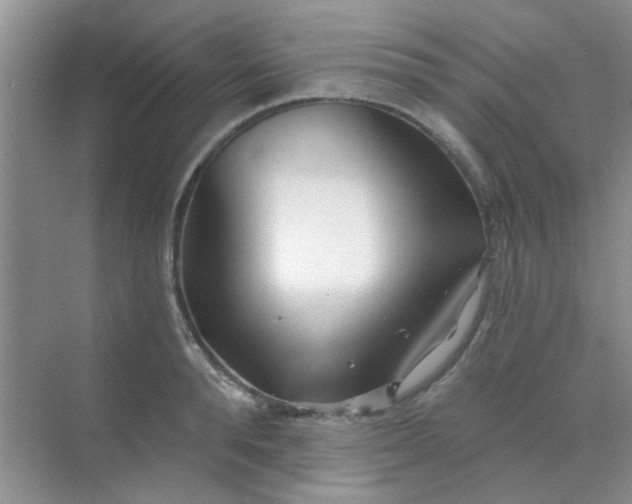 X0000070240896200606161843