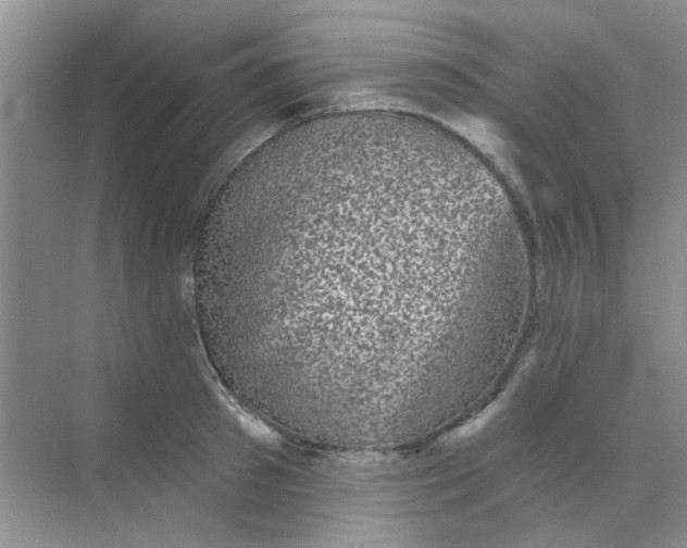 X0000070240897200606161843