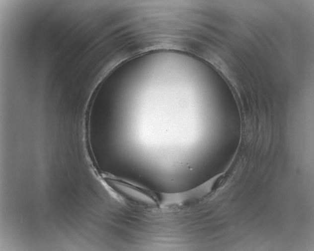 X0000070240898200606161843