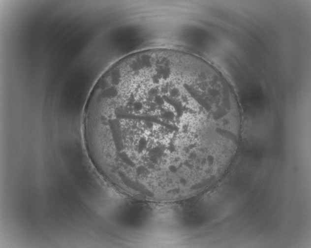 X0000070240899200606161843