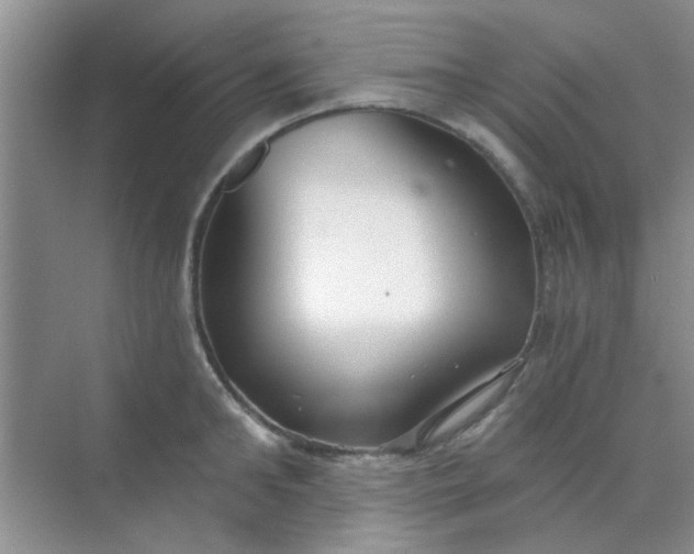 X0000070240902200606161842