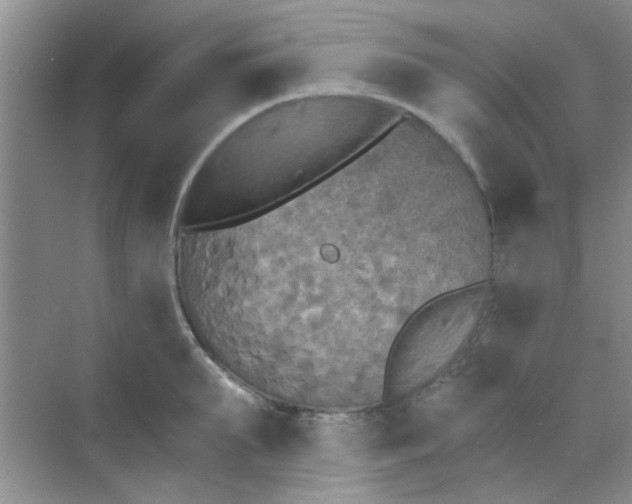 X0000070240903200606161842