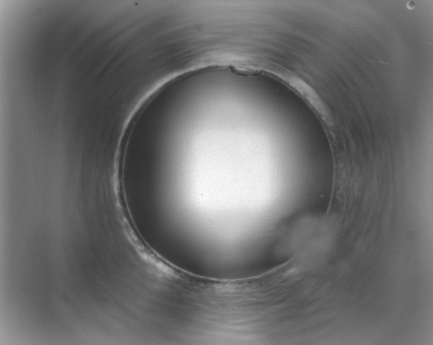 X0000070240904200606161842