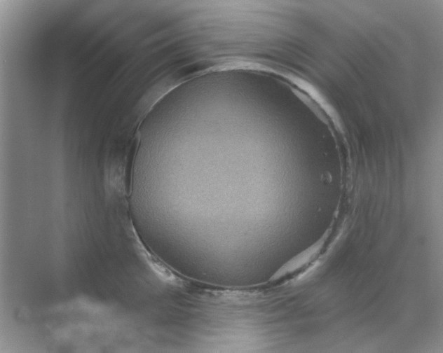 X0000070240905200606161842