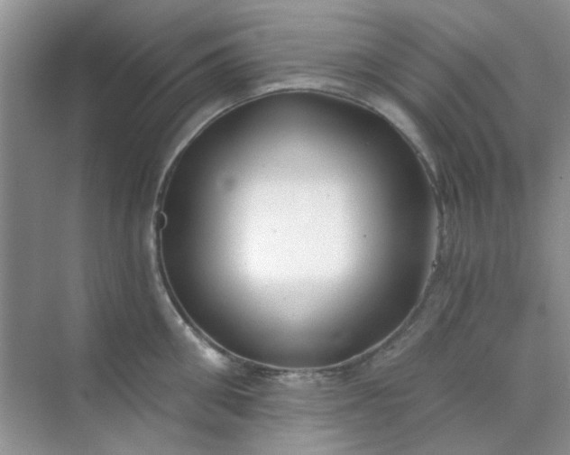 X0000070240906200606161842