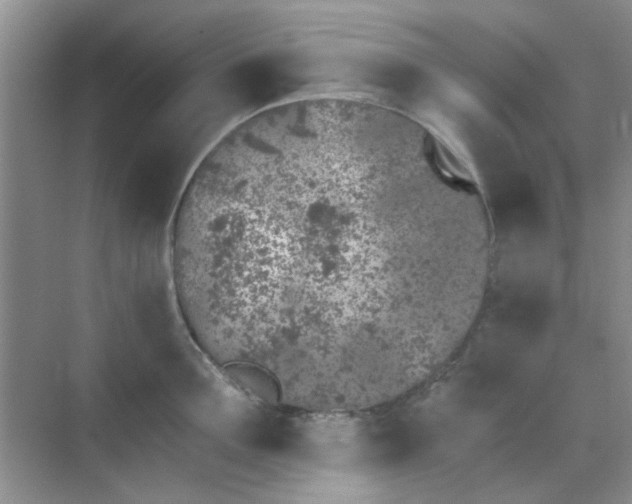 X0000070240907200606161842