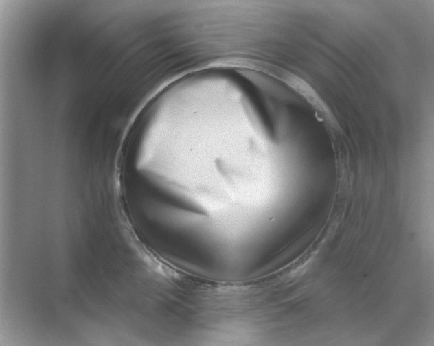 X0000070240908200606161842