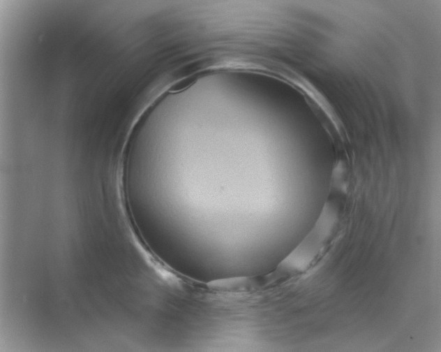 X0000070240909200606161842