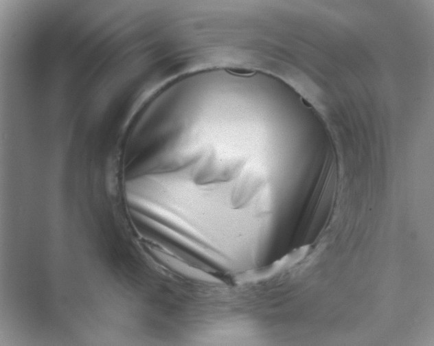 X0000070240912200606161842