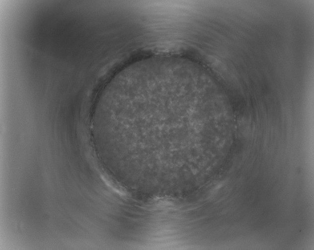 X0000070240913200606161842