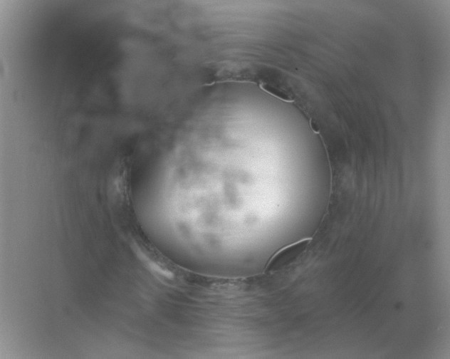 X0000070240914200606161842