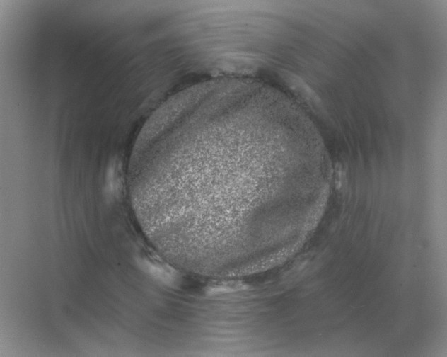 X0000070240915200606161842