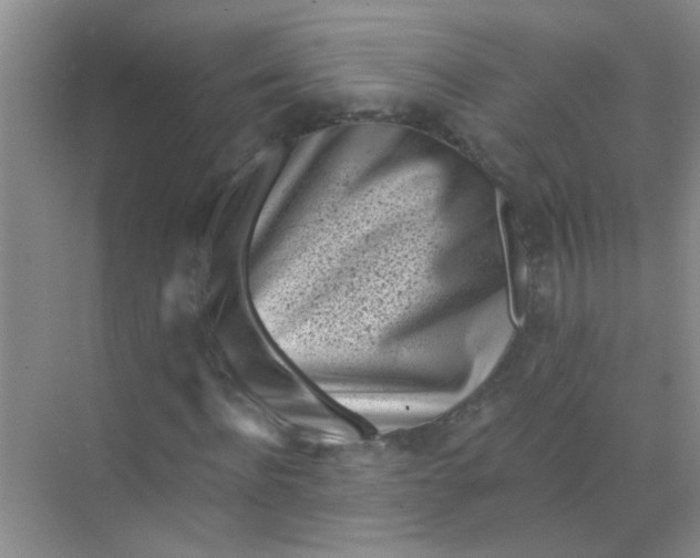 X0000070240916200606161842