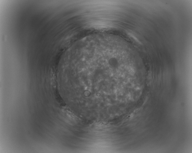 X0000070240917200606161842