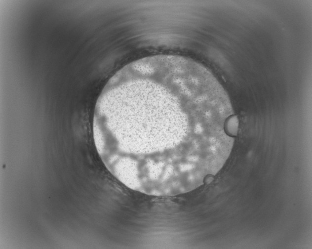 X0000070240918200606161842